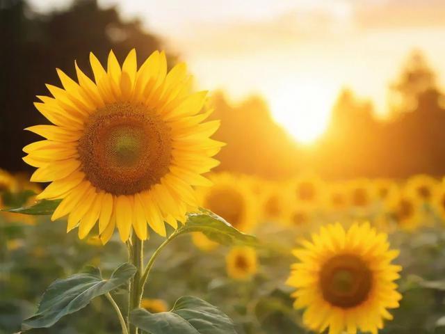 拥有了这个三件套,开启快乐人生!